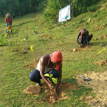 Lade das Bild in den Galerie-Viewer, ANBU® BIO indisches Geschenkset (Mittel- bis Deutsch Scharf)
